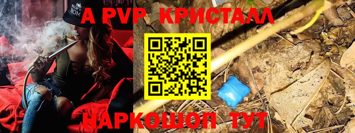 Тара  Alpha-PVP  Вход с VPN  APVP СК КРИС 