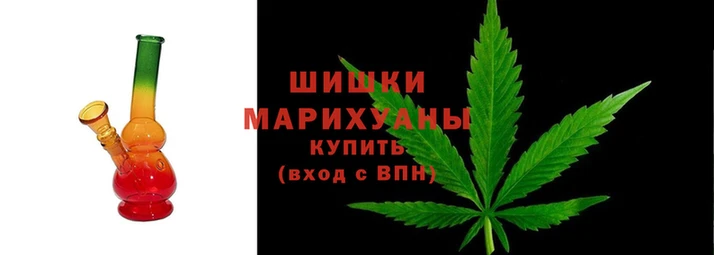 PSILOCYBIN Пересвет