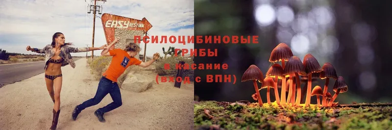 Галлюциногенные грибы Magic Shrooms  hydra как войти  Тара  закладка 