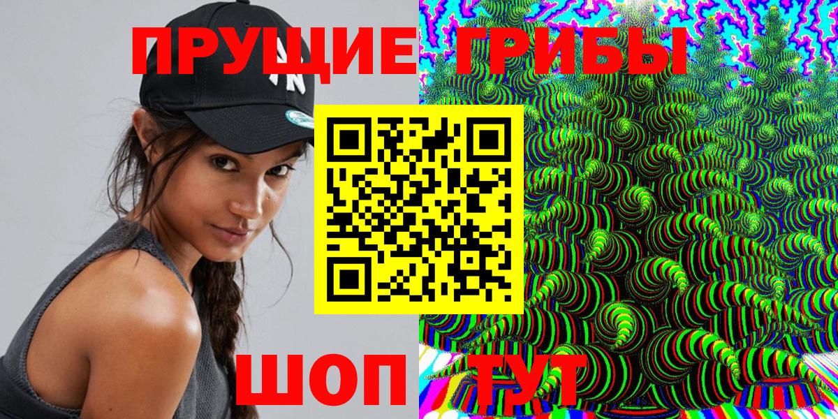 купить наркотик  Тара  Псилоцибиновые грибы Psilocybe 