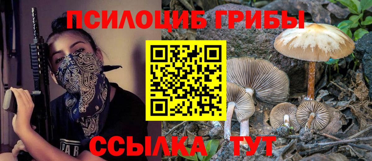 Галлюциногенные грибы MAGIC MUSHROOMS Тара