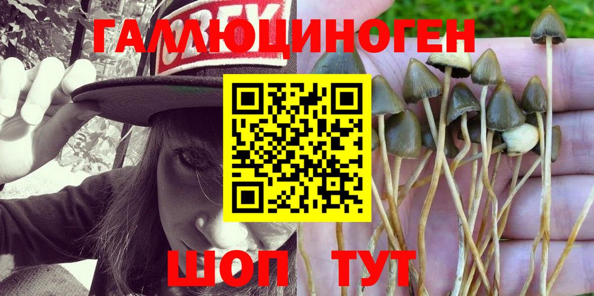 Галлюциногенные грибы Magic Shrooms Тара