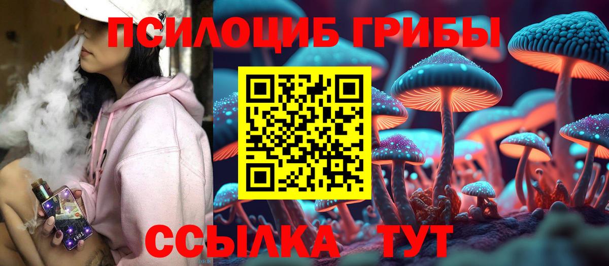 Тара  Псилоцибиновые грибы MAGIC MUSHROOMS  Вход с VPN 